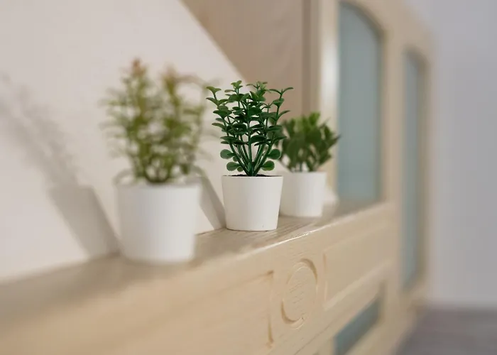 Lägenhet Piano Terra In Centro - A Due Passi Da Tutto