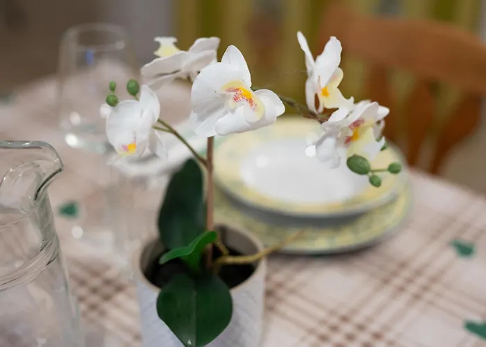 Lägenhet Piano Terra In Centro - A Due Passi Da Tutto *